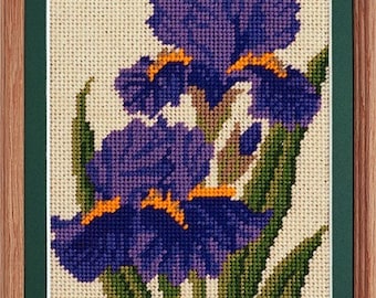 TPR 254 Irises Starter Beginner Tapisserie Nadelspitzen Set