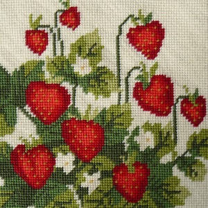 May include: A close-up of a needlepoint embroidery depicting a vine of red strawberries with green leaves and white flowers.
