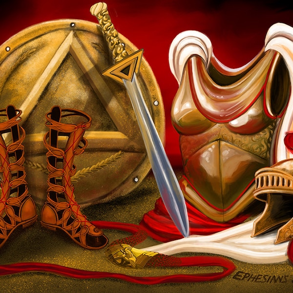 Armour visual data 6