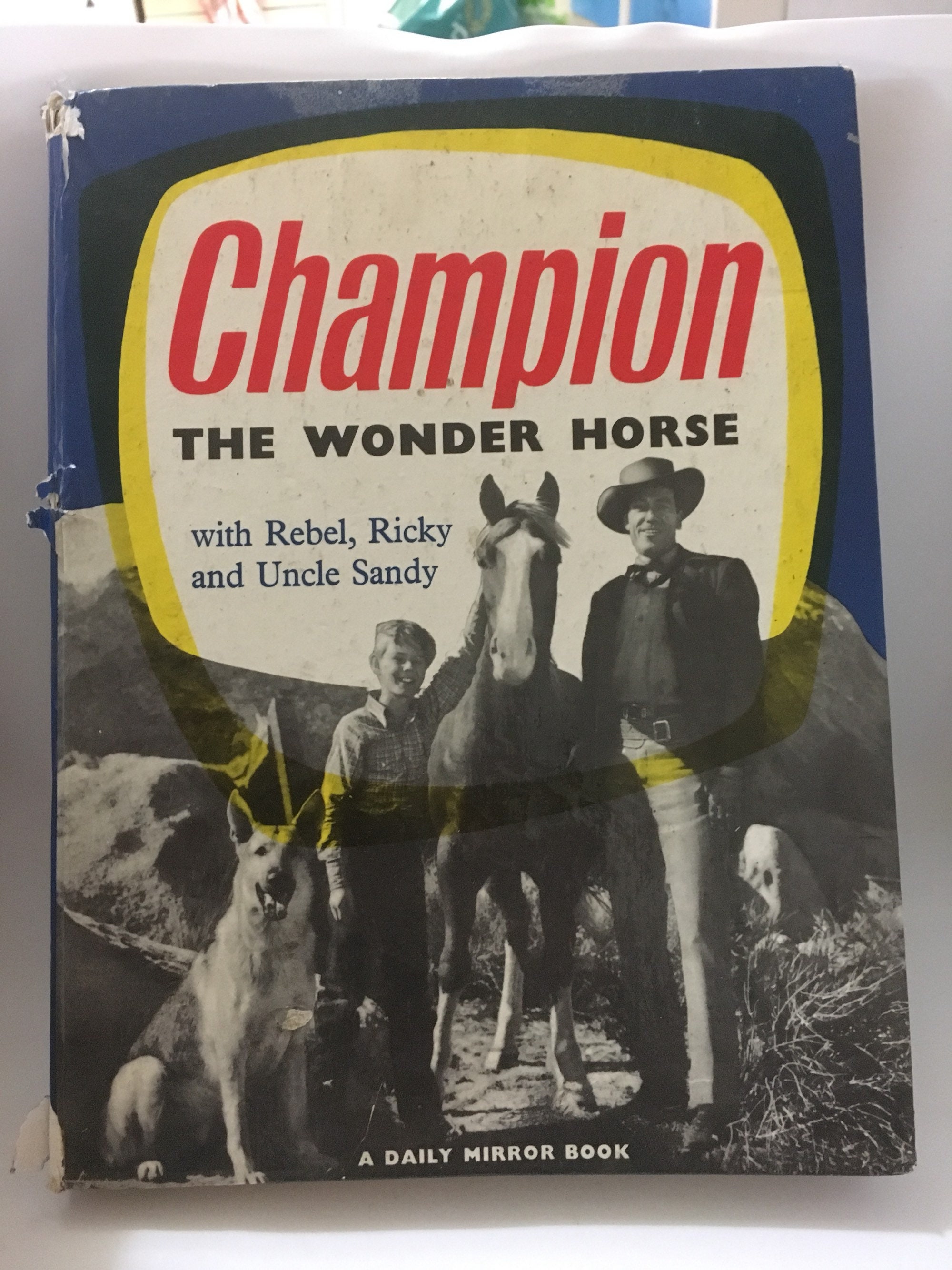Boys Vintage Hard Back Books. Champion the Wonder Horse and | Etsy