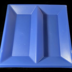May include: A blue plastic serving tray with two divided sections. The tray has a rectangular shape with slightly raised edges.