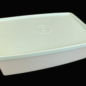 Peut inclure: Un récipient rectangulaire en plastique de couleur claire avec un couvercle assorti. Le couvercle est vert pâle et comporte une indentation circulaire au centre. Le récipient est probablement utilisé pour le stockage des aliments.