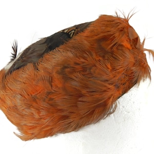 Vintage Feather Pillbox Hat - orange, brown, ladies, dressy- headpiece, wedding, formal, retro, millinery, Easter, derby, traditional,classy