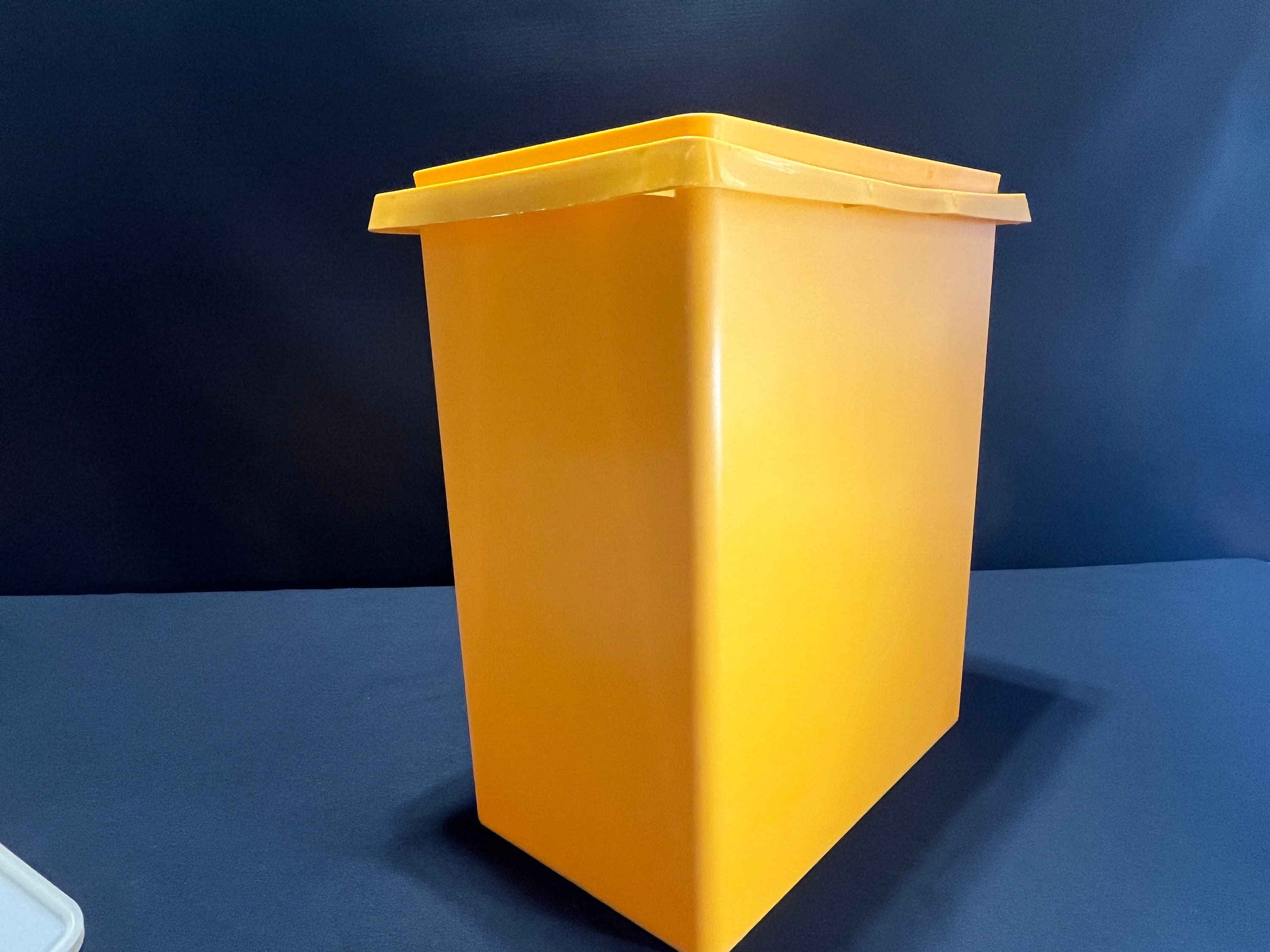 Vintage Tupperware Large Carry All Tote Container, Lid, Handle