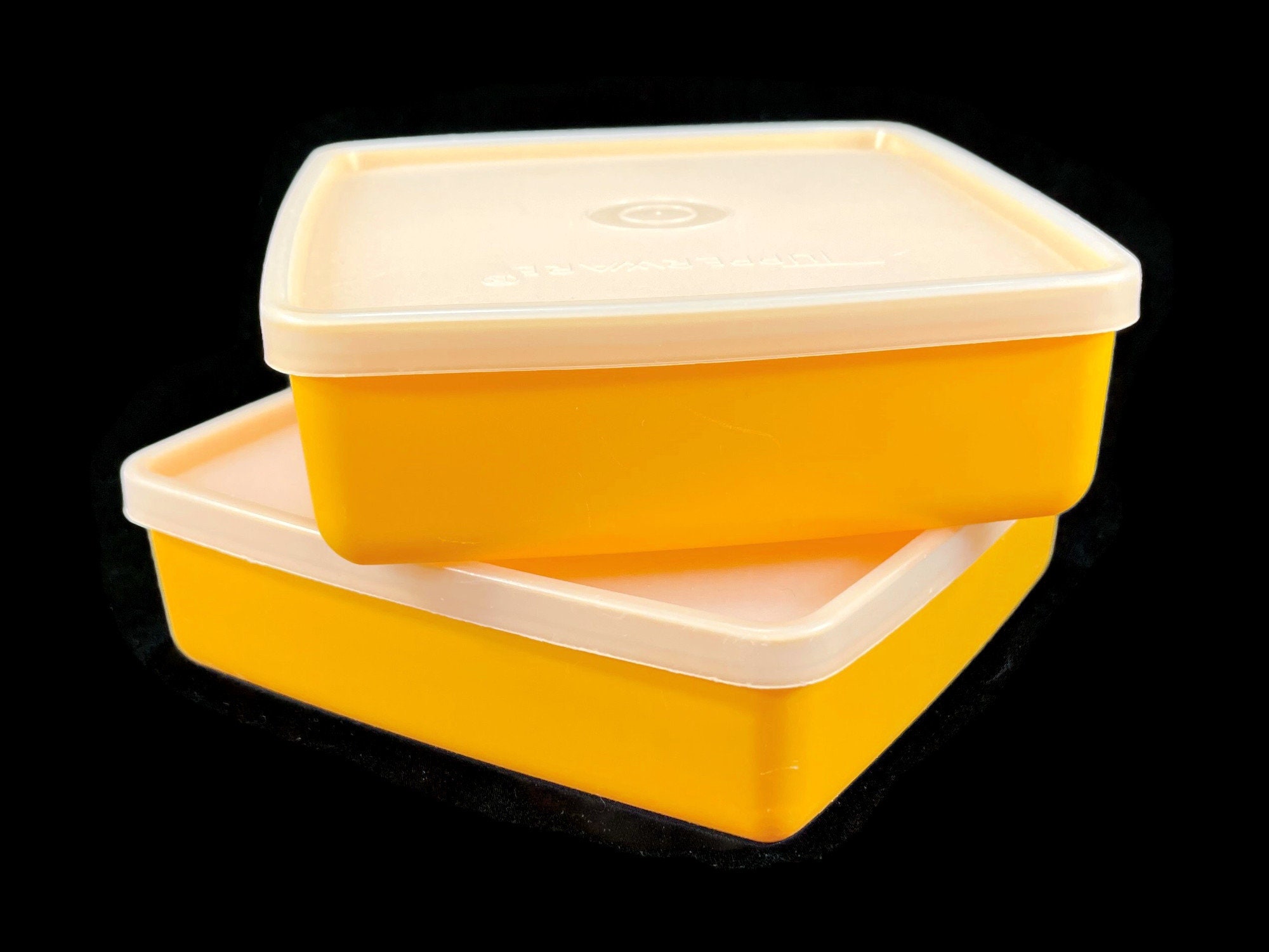 Tupperware Sandwich Keeper Plastic Food Storage Container Set – Reclectic  Home Decor, LLC