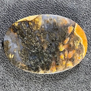 Priday Plume Agate Cabochon