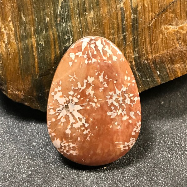 Starburst Jasper (Rhyolite) Cabochon