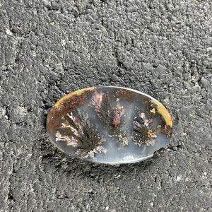 Priday Plume Agate Cabochon