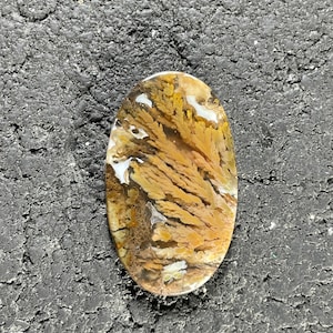 Priday Plume Agate Cabochon