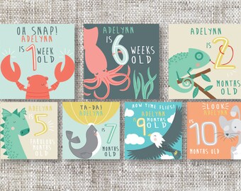 Printable Baby's First Year Customizable Milestone Cards | Record Little One's Special Moments | Baby Keepsake Cards for Boys or Girls