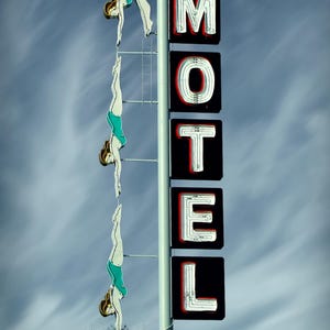 Starlite Motel Diving Lady, Mesa Arizona Vintage Neon Sign