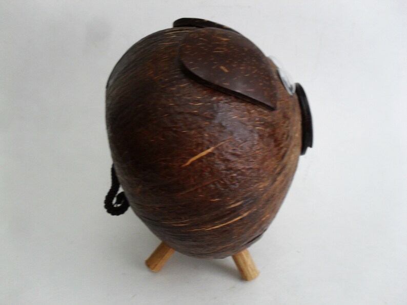 Coconut Shell Piggy Bank Pig Money Coin Bank