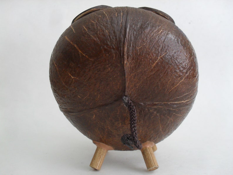 Coconut Shell Piggy Bank Pig Money Coin Bank