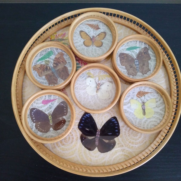 Vintage Bamboo Preserved Butterfly Serving Tray with Six Coasters Set, Vintage Barware, Boho Deco, Vintage Coasters and Tray