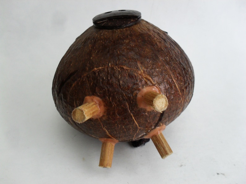 Coconut Shell Piggy Bank Pig Money Coin Bank