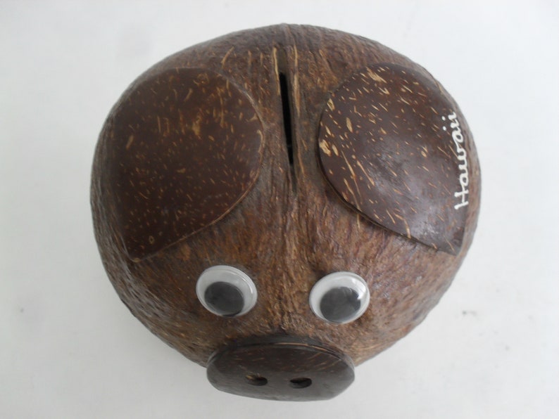 Coconut Shell Piggy Bank Pig Money Coin Bank