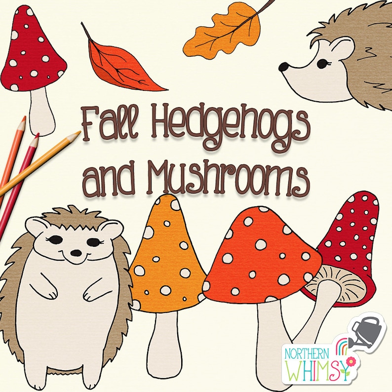 brown and gold commercial use CU OK orange Fall Clip Art hand drawn autumn hedgehog and mushroom illustrations in deep red