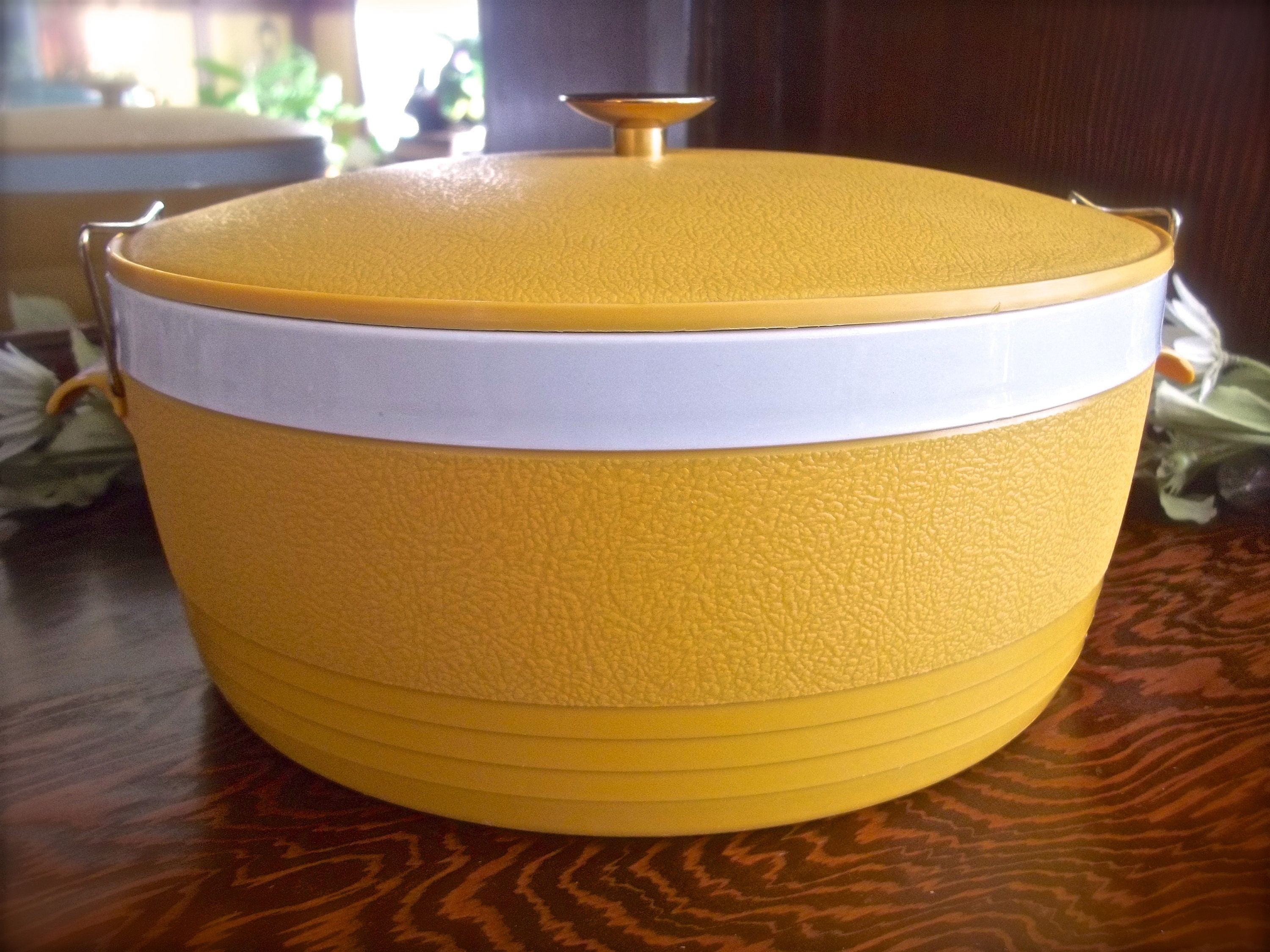 Vintage Food Storage Plastic Food Storage Vintage Kitchen Etsy