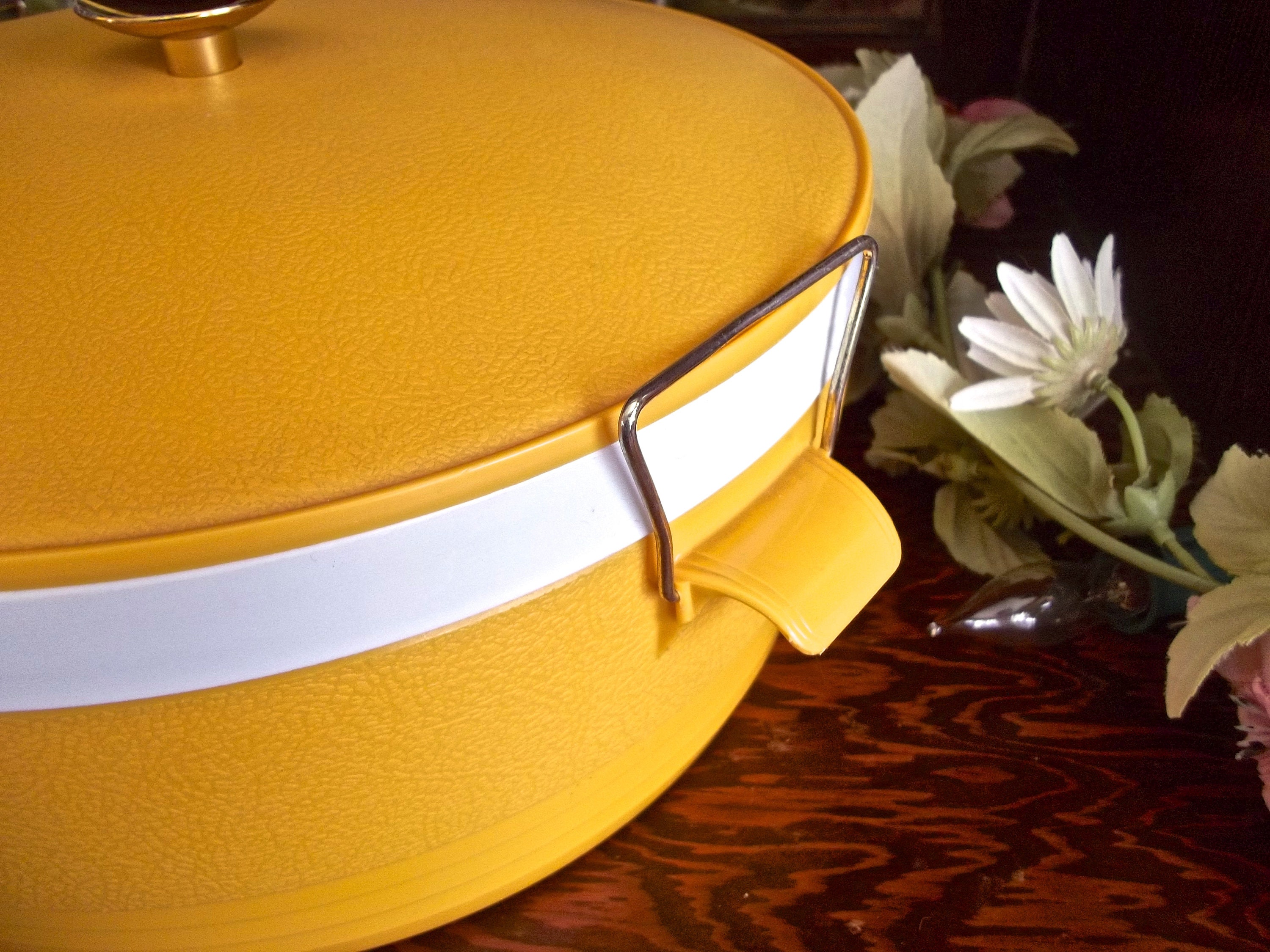 Vintage Food Storage Plastic Food Storage Vintage Kitchen Etsy