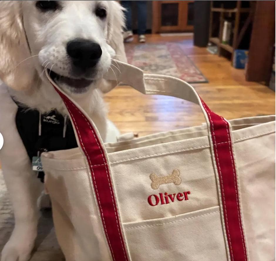 24 Personalized Dog Designs Labrador Bag Personalized Dog Paw Monogrammed Silhouette Canvas Tote With Print Dachshund Lab