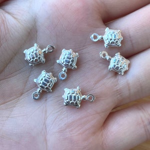 May include: Six silver turtle charms with a loop for attaching to jewelry or other crafts.