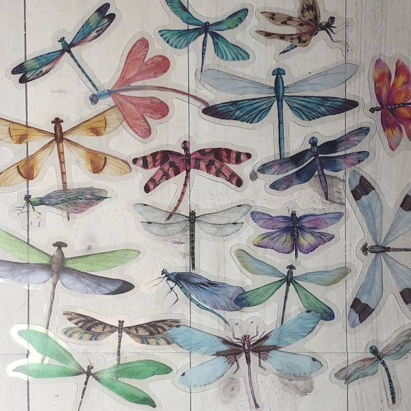 Dragonfly Stickers - Fussy Cut Pack of 20 or 40 PVC Stickers (Clear Background). For Journals, Scrapbooking or Laptops (Australia Seller)