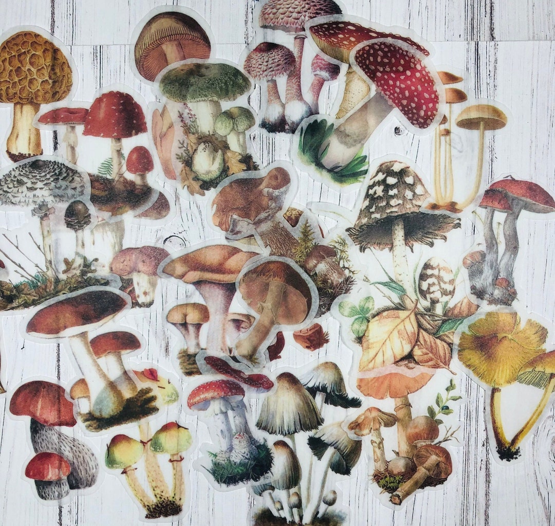Mushroom Sticker Packs 20 or 40 Die Cut Washi Cottagecore Planner