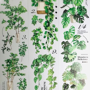 Wholesale New Leaf Green Notes™ for your store - Faire