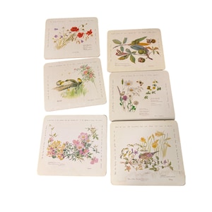 May include: A set of six square coasters featuring off-white backgrounds and detailed botanical and wildlife illustrations. Each coaster displays unique nature scenes with flowers, birds, and plants, accompanied by small printed text labels.