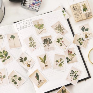 45 mini autocollants botanique - Stickers planches de botanique pour DIY, scrap, déco, cadeau...