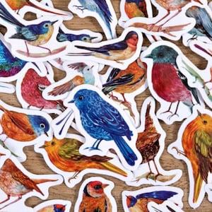 46 mini pegatinas con pájaros - Pequeñas pegatinas para scrapbooking, happy mail... con bonitos pájaros