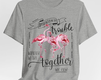 Apparently We Are Trouble Flamingo Shirt, Girls Trip Tee, Bachelorette Party Matching Shirt, Funny Bridal Party TShirt, Girls Weekend Outfit
