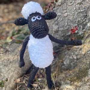 Clever Sheep
