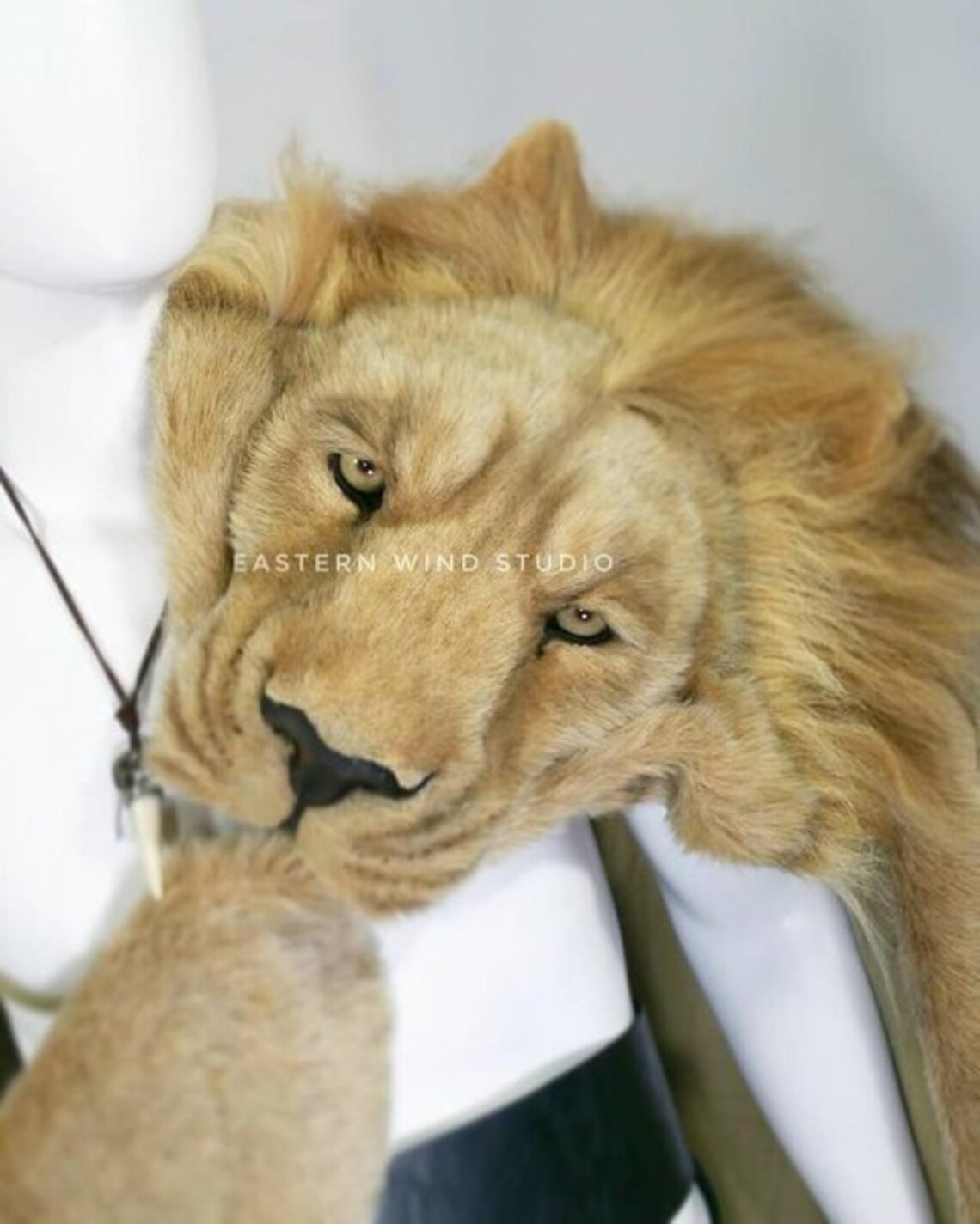 Lion Skin Wrap Sash Shawl Stole Rug Animal Friendly READ Etsy