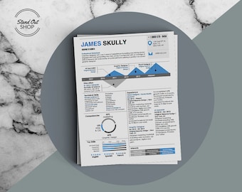 James Skully Infographic Resume with Infographics and Matching Cover Letter Template for Microsoft Wo