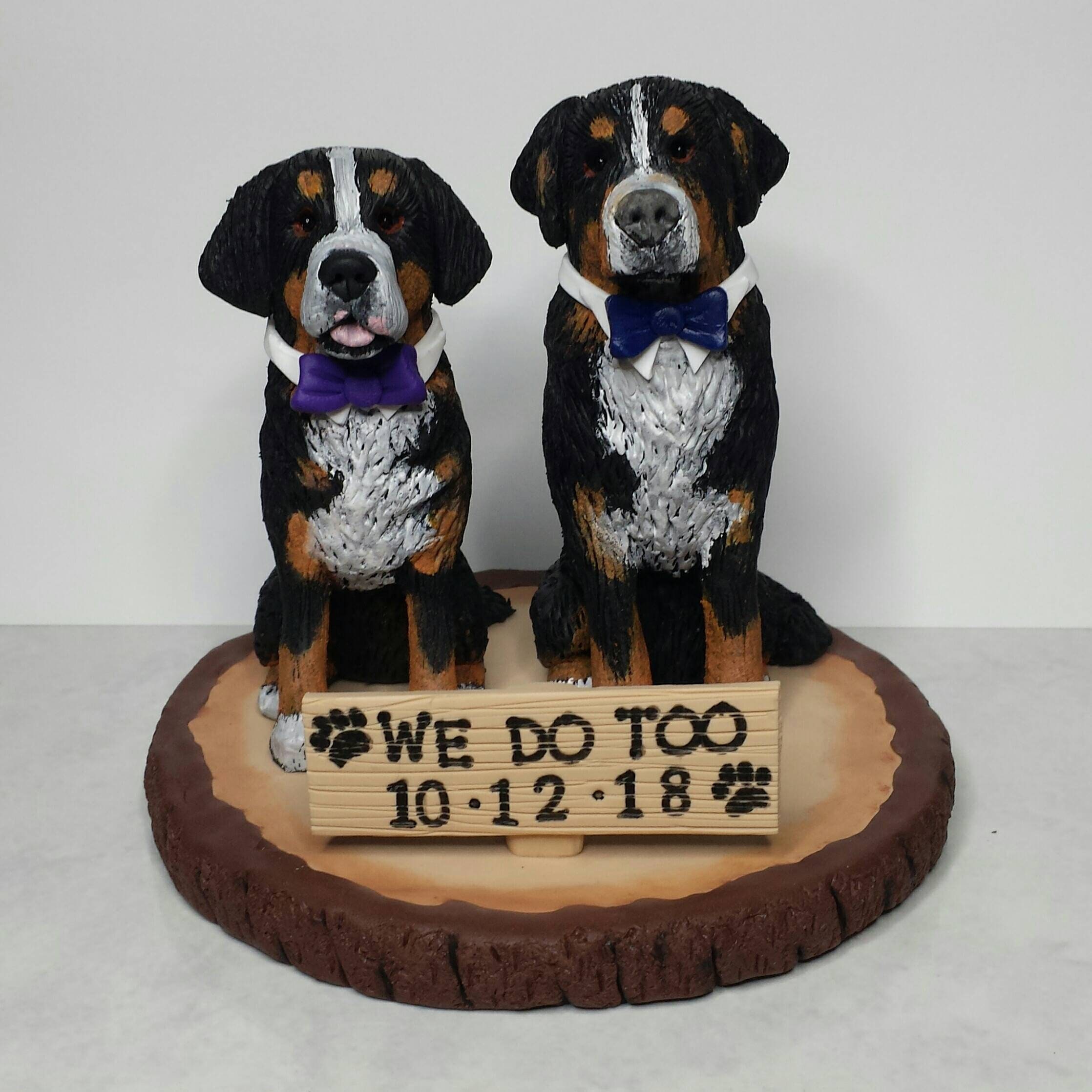 bernese mountain dog cake