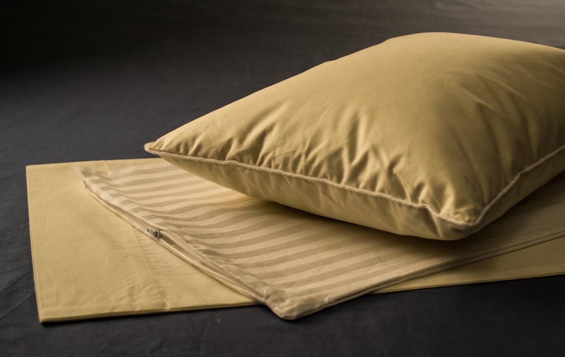 DOWN Travel Pillow Set Cream 12x16 700fill Power Goose Down Travel