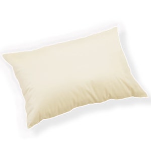 May include: A plain, off-white pillow with a smooth, slightly textured surface.