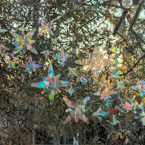 May include: A tree branch decorated with iridescent star-shaped ornaments. The ornaments are made of reflective material and catch the light, creating a rainbow effect.