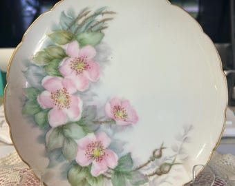 Johann Haviland | Jean Pouyat Limoges | Haviland & Co Limoges vintage plates