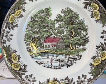 Vintage Fair Oaks by Royal China plates, saucers & coffee cups