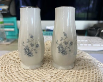 Johann Haviland Bavarian “Blue Garland” salt and pepper shakers