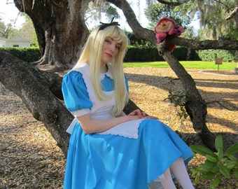 Alice in Wonderland Costume