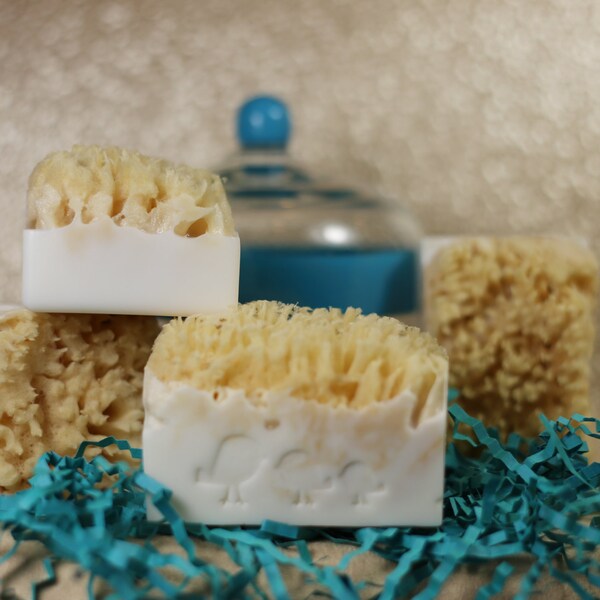 Natural Sea Sponge Soap Bars
