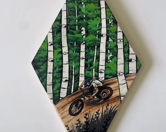 Aspen Ride