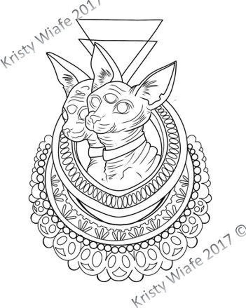 880 Hairless Cat Coloring Pages Download Free Images 880 Hairless Cat Coloring Pages Download Free Images