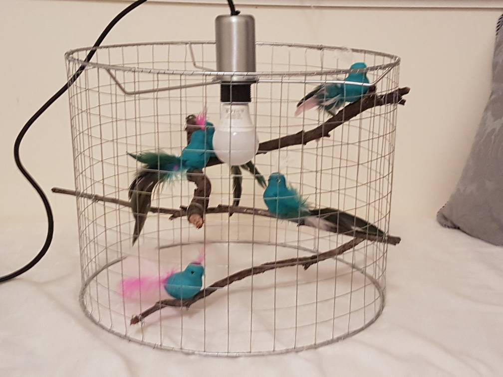 Custom Birdcage Pendant Light Unique Chandelier Bird Custom Birdcage Pendant Light Unique Chandelier Bird Cage