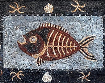 魚壁飾り　モンガラカワハギ成魚［額装］在庫現品のみ❗️ 魚壁飾り モンガラカワハギ成魚［額装］在庫現品のみ❗️ hq720