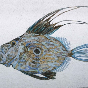 John Dory - Coastal Mosaic Fish