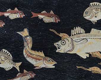 魚壁飾り　モンガラカワハギ成魚［額装］在庫現品のみ❗️ 近海産海水魚》